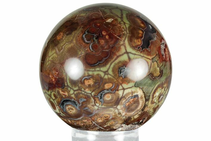 Polished Spiderweb Jasper Sphere - Oregon #308202